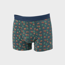Boxer in cotone biologico con stampa orsi Kinai