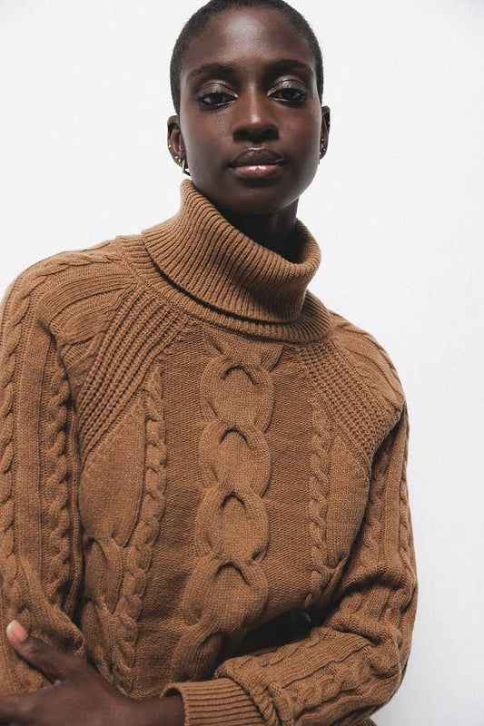 Maglione dolcevita a trecce in lana