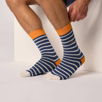Calzini a righe in cotone pettinato blu e grigio