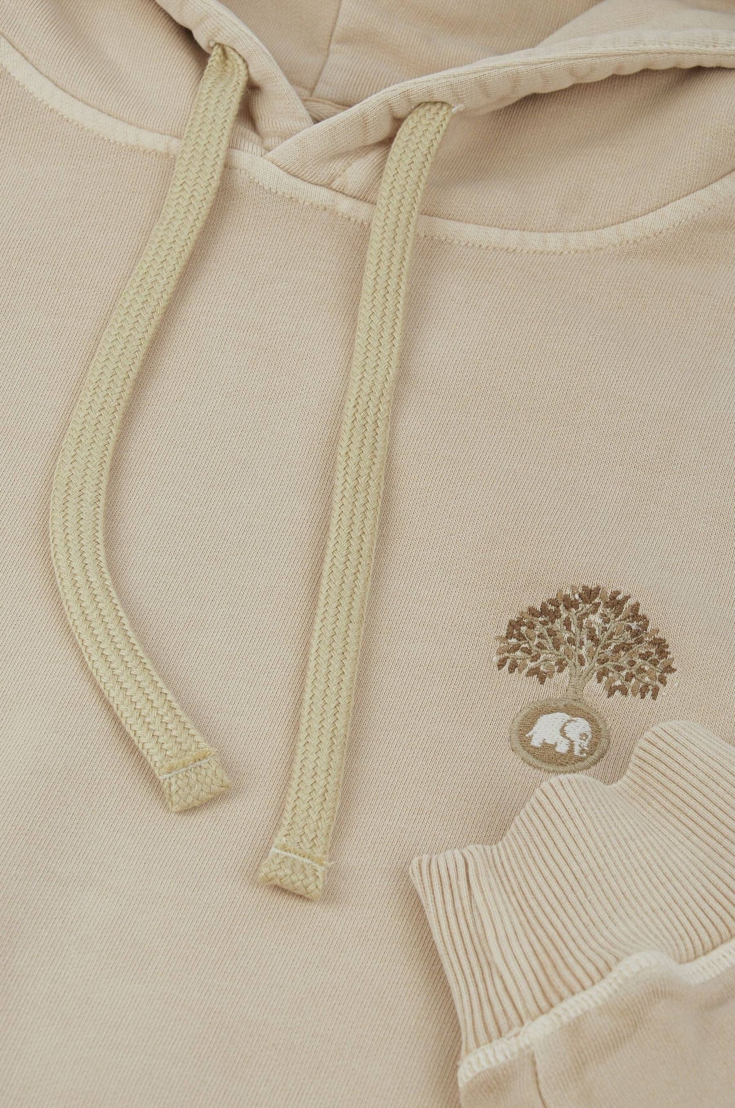 Felpa con cappuccio pesante in cotone biologico colore Eucalyptus
