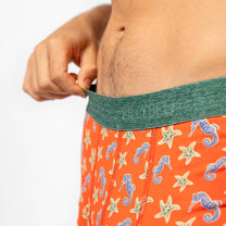 Boxer in cotone biologico con stampa cavallucci marini