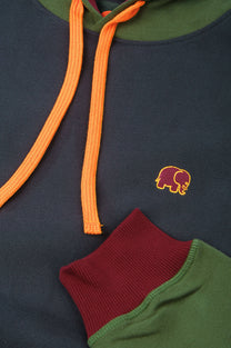 Felpa con cappuccio in cotone biologico color block blu