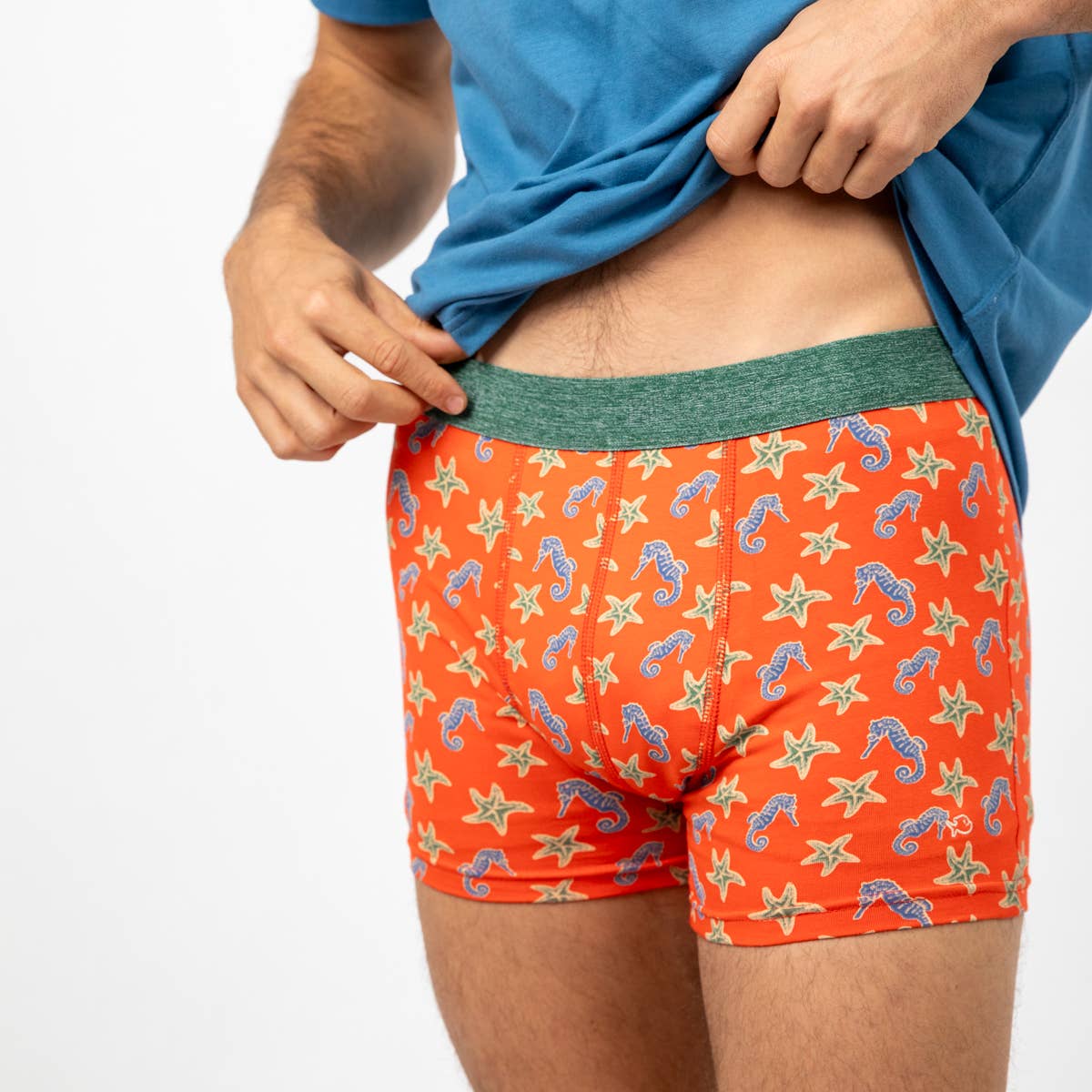 Boxer in cotone biologico con stampa cavallucci marini