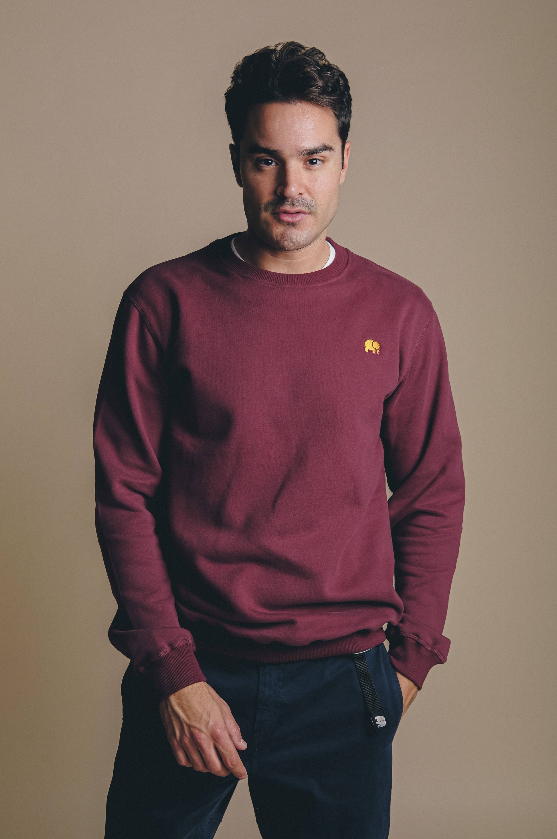 Felpa Essential in cotone organico bordeaux
