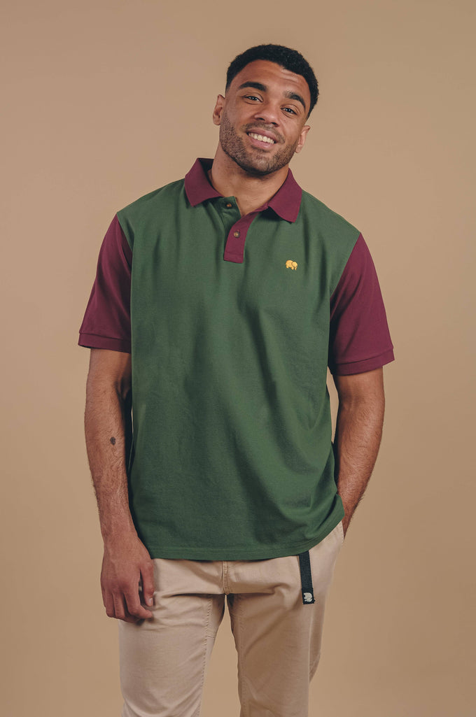 Polo color block in cotone biologico Greener Pastures