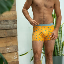 Boxer Saguaro in cotone biologico