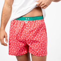 Boxer in cotone biologico con stampa cuori Valentin