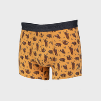 Boxer in cotone biologico con stampa bradipo