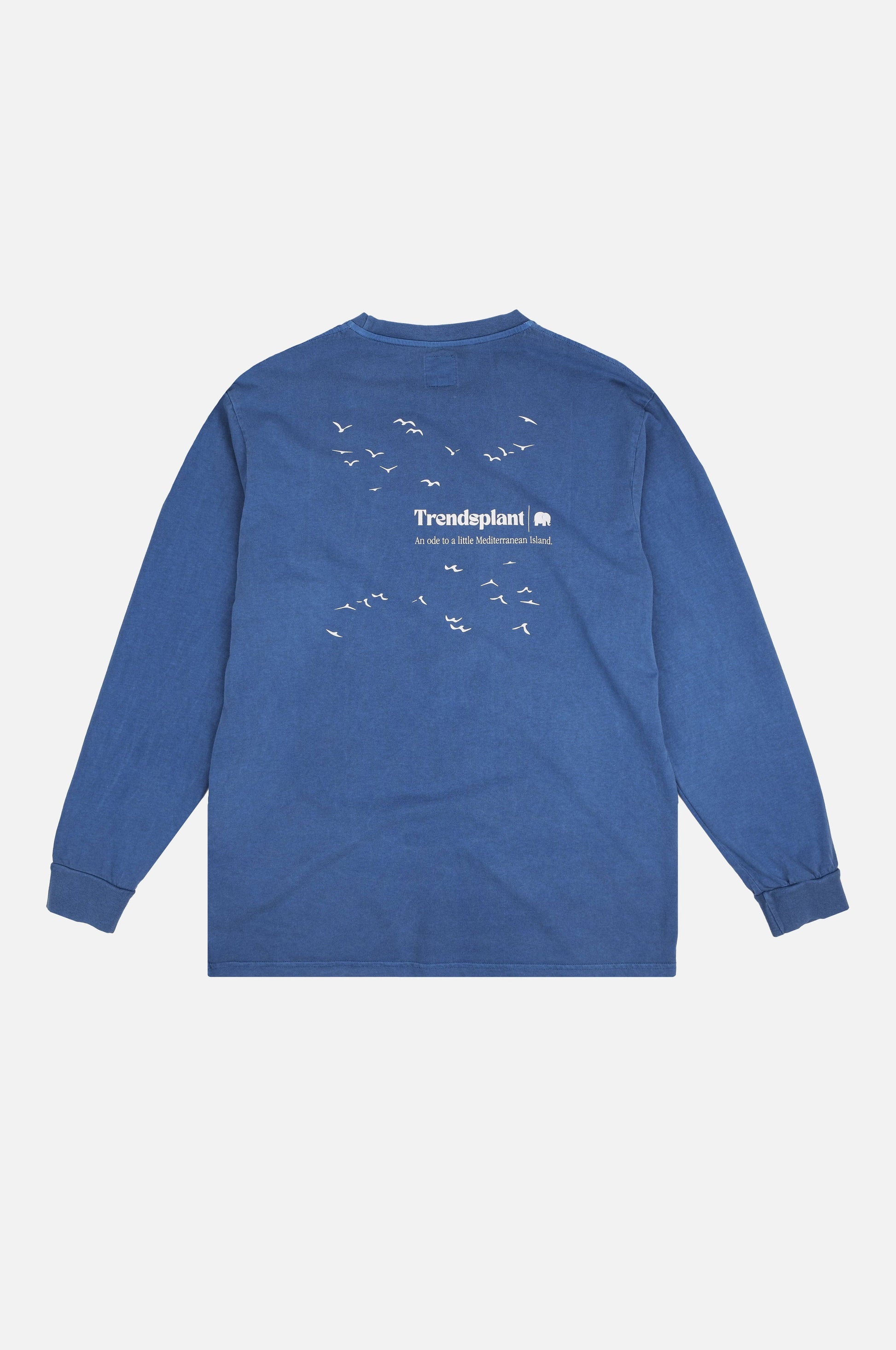 Maglia a maniche lunghe pigmentata blu Tidepool