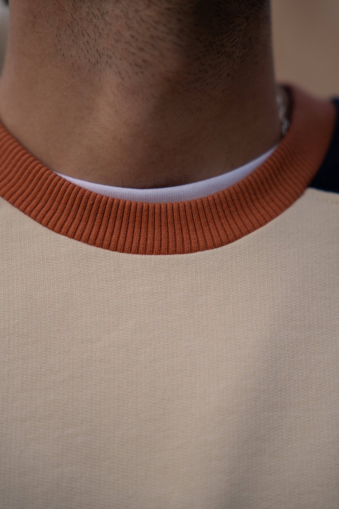 Felpa girocollo in cotone biologico color block