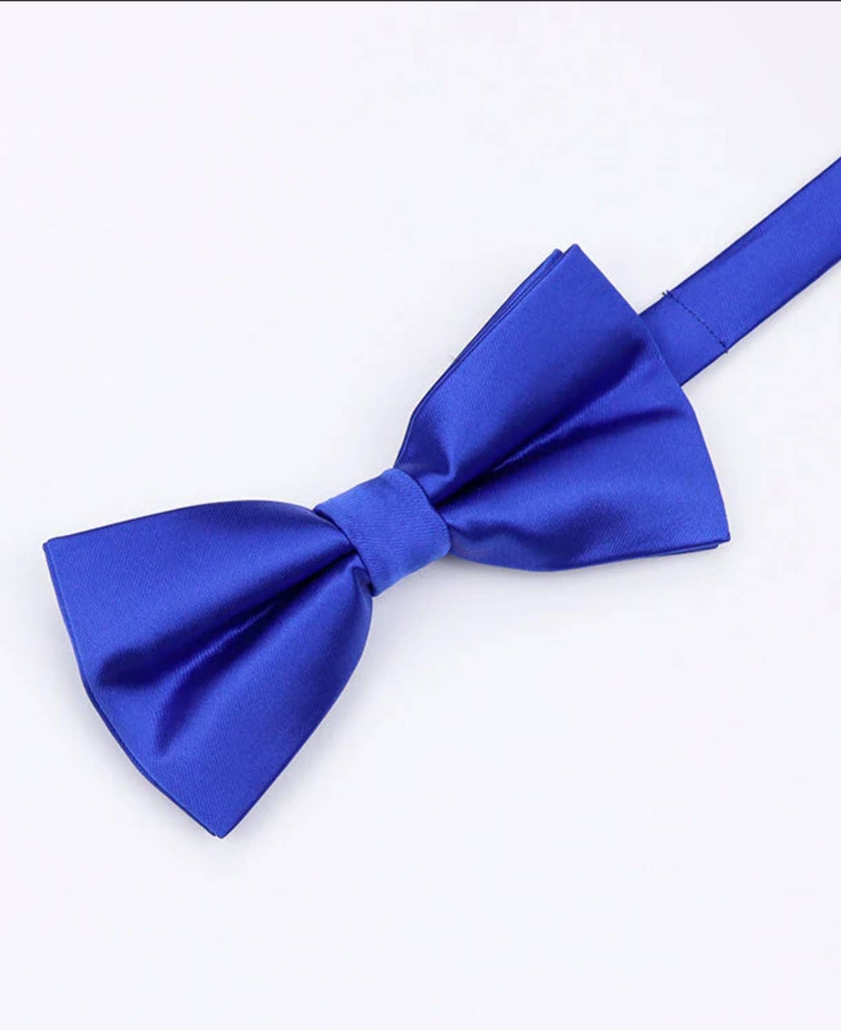 Papillon blu reale pre-annodato regolabile