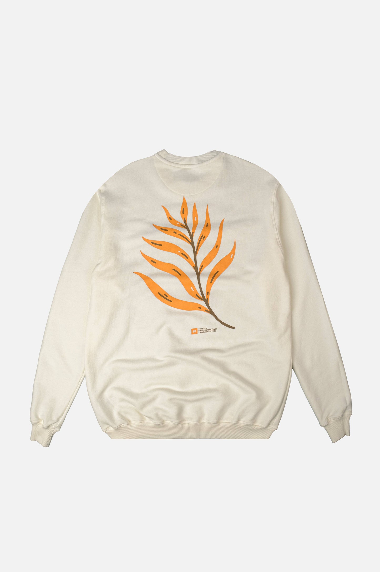 Maglione Palmeral Pigment mezza stagione ecru in cotone biologico