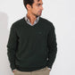 Pullover in lana a maglia fine con scollo a V e ricamo