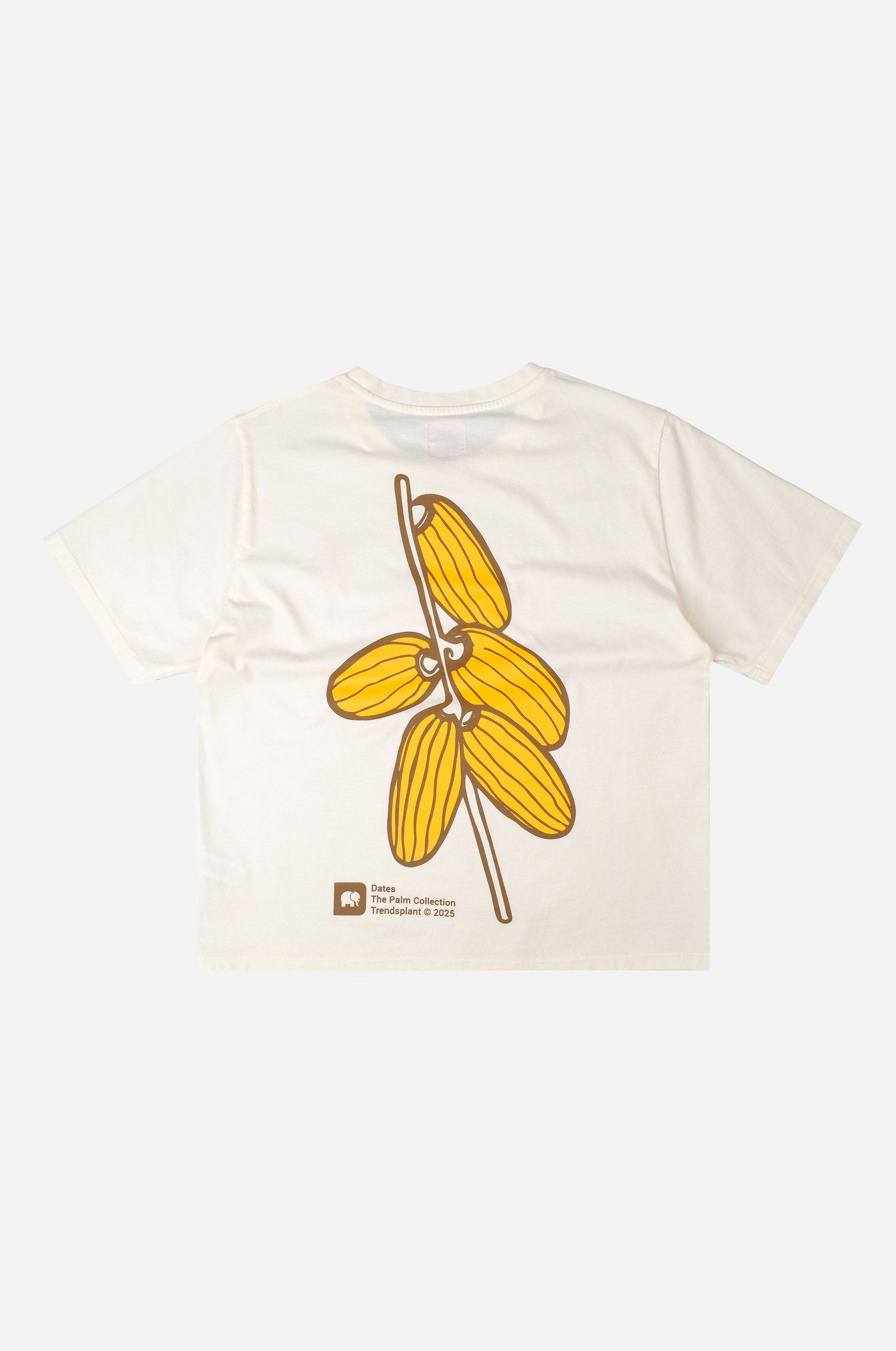 T-shirt pigmentata corta Datil écru da donna