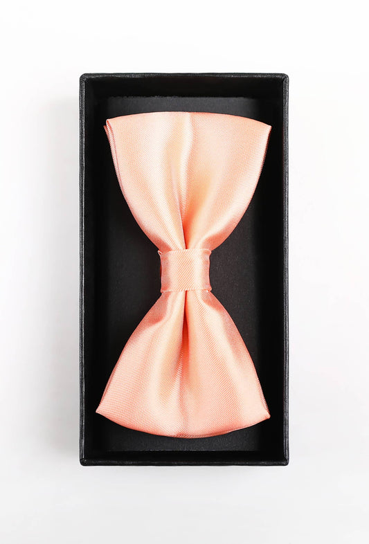 Set papillon e fazzoletto da taschino rosa salmone