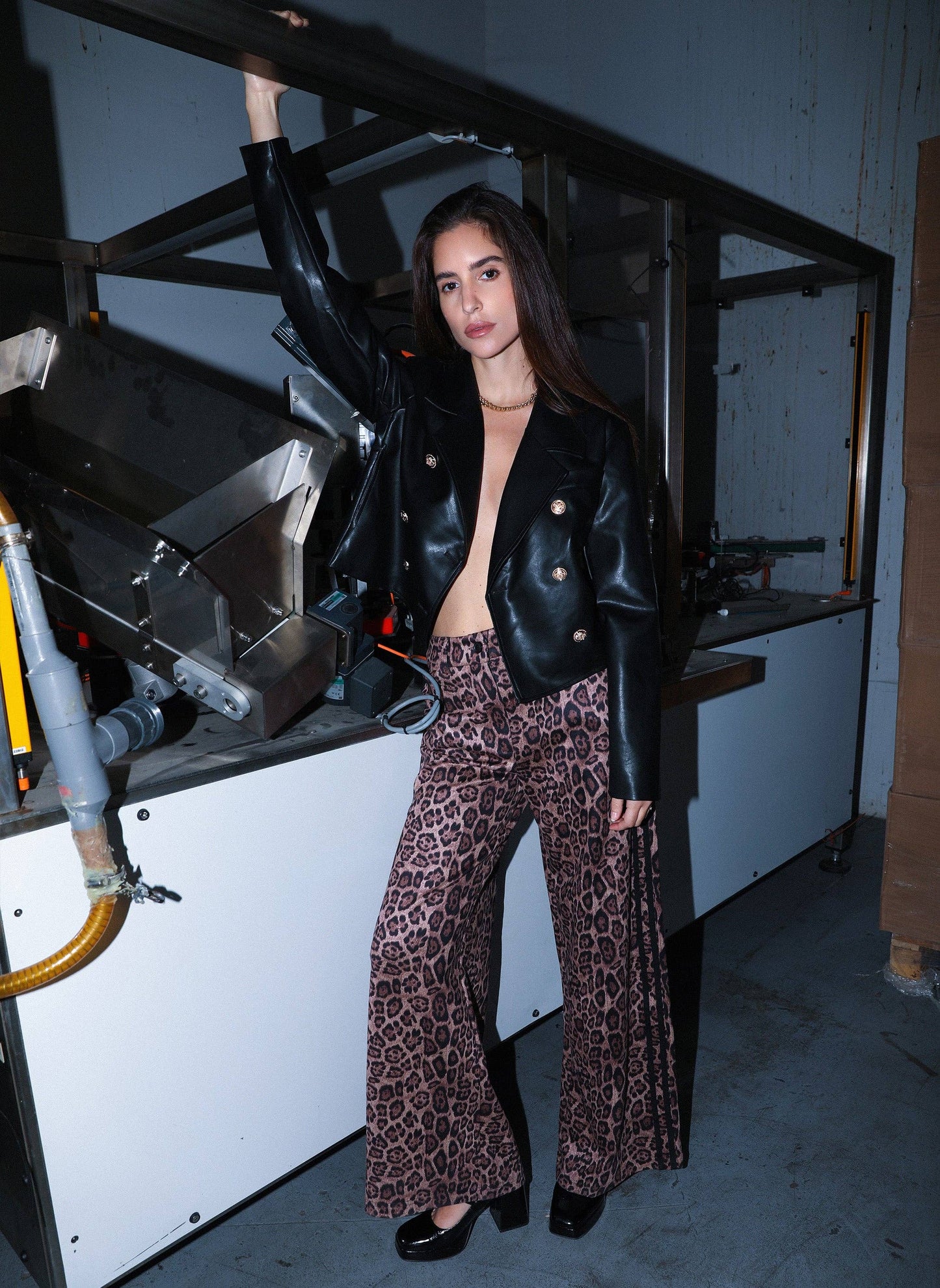 Pantaloni a zampa animalier vita alta
