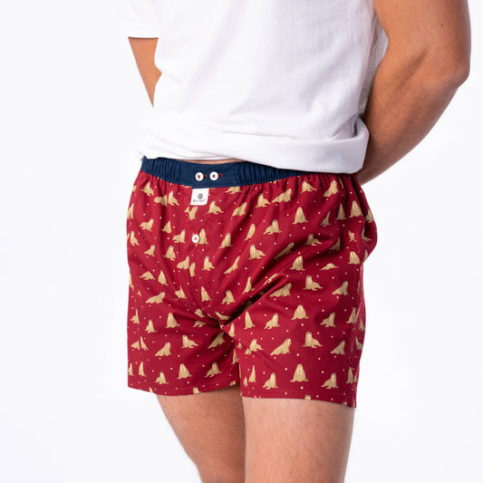Boxer in cotone biologico con stampa trichechi