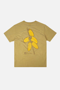 T-shirt pigmentata Datil con stampa palma dorata