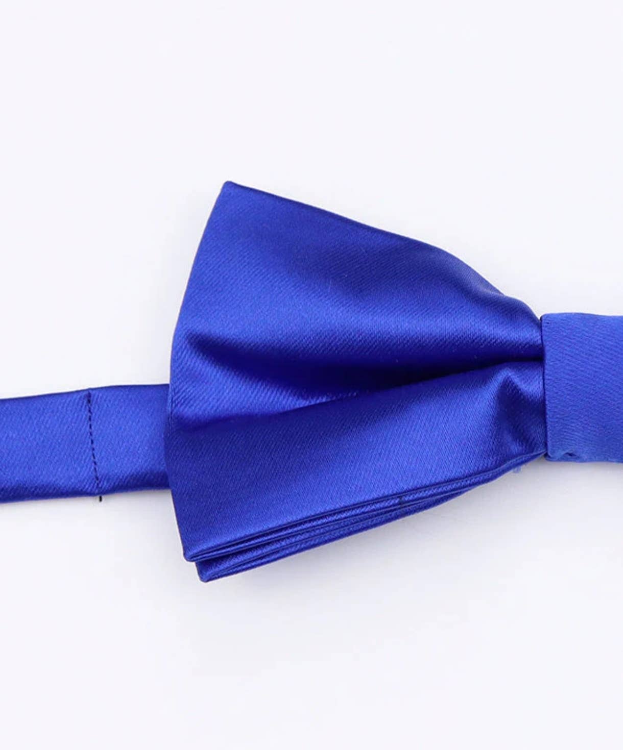 Papillon blu reale pre-annodato regolabile