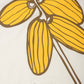 T-shirt pigmentata corta Datil écru da donna