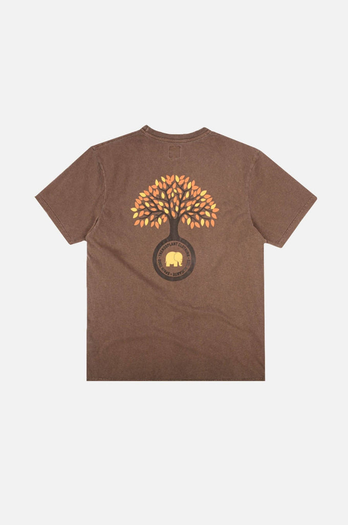 T-shirt pigmentata Fafe color castagna da uomo in cotone biologico