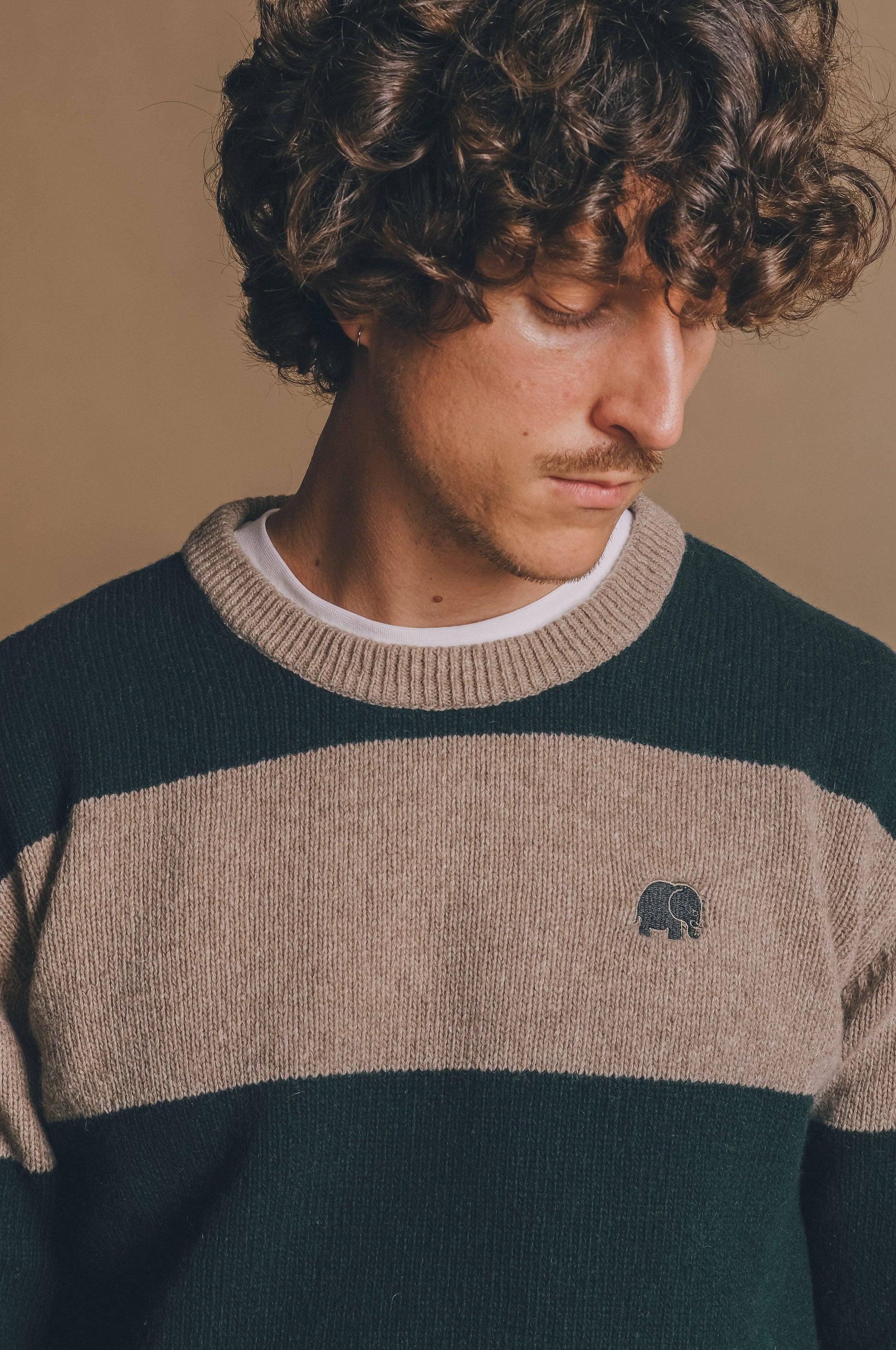 Maglione Sella a righe in lana merino verde pino e marrone