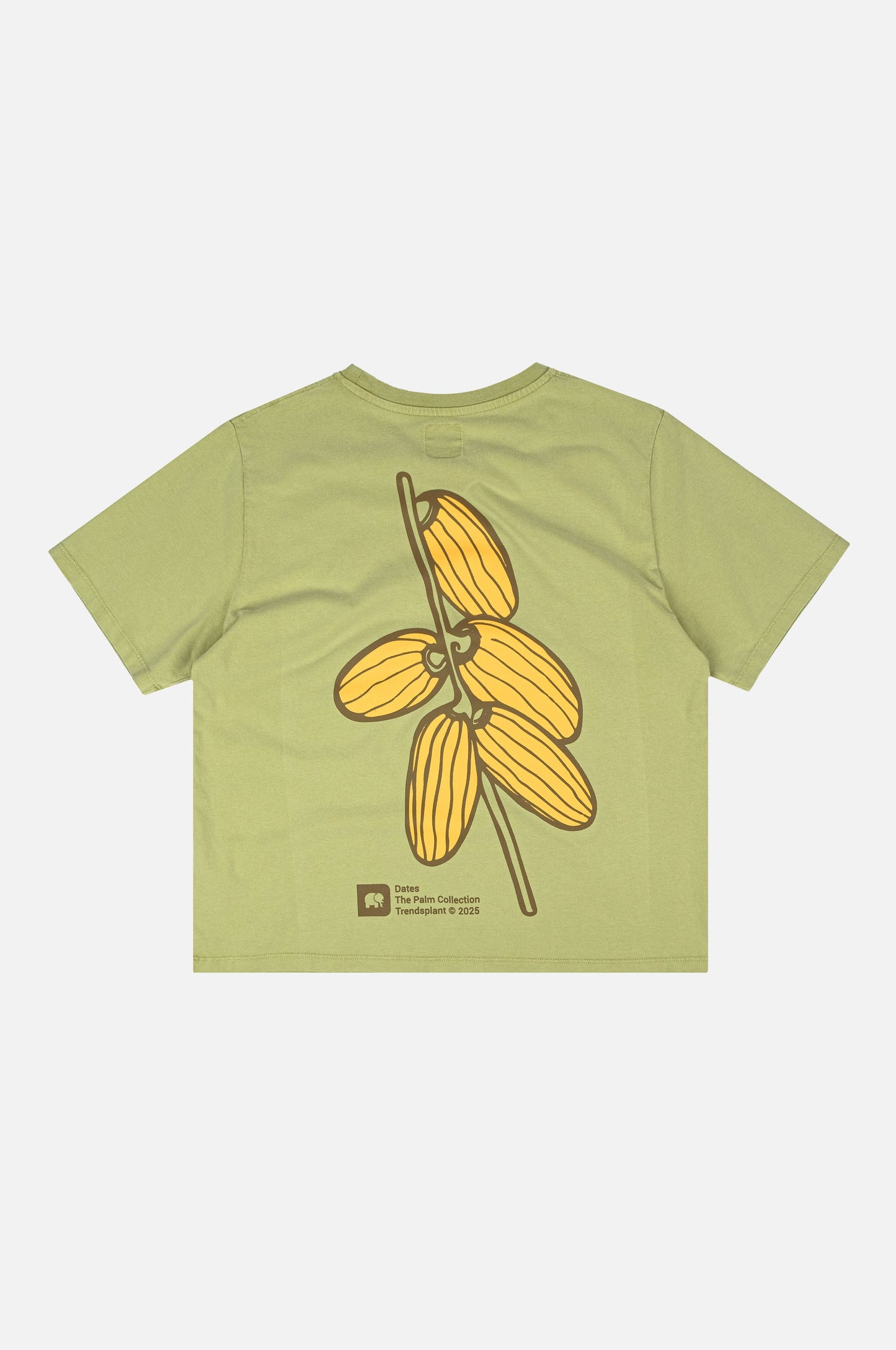 T-shirt pigmentata donna Datil verde palma