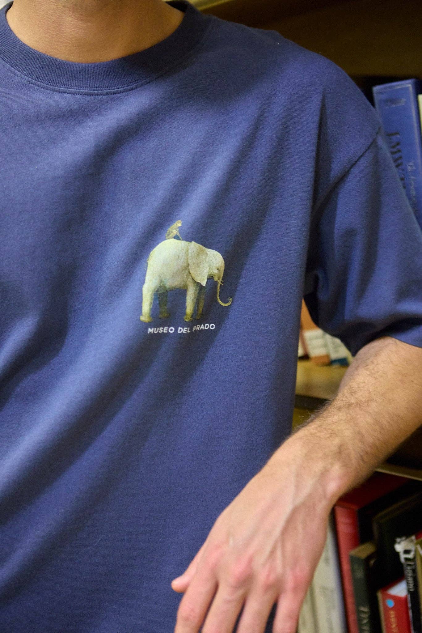 T-shirt Pesce Volante Museo del Prado in cotone organico