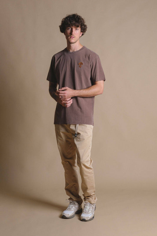 T-shirt pigmentata Fafe color castagna da uomo in cotone biologico